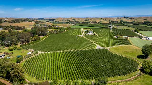 Rockit Apple Orchard portfolio