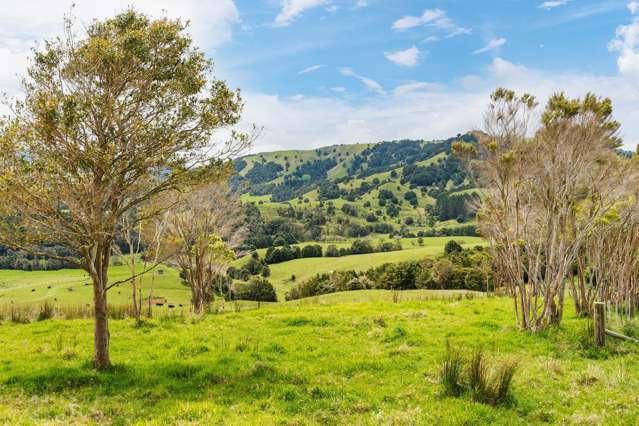 26 Ha's ideal for specialty cattle or equine fans