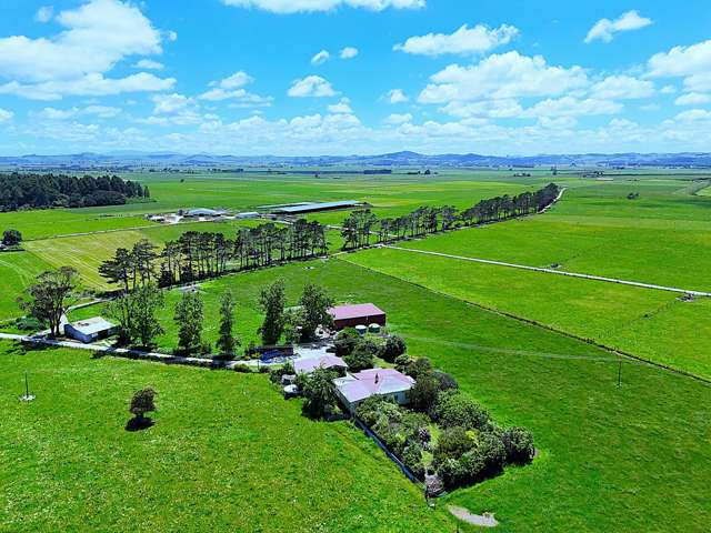 Premium Dairy Farm in Ruawai